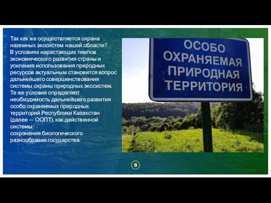 Так как же осуществляется охрана наземных экосистем нашей области? В условиях