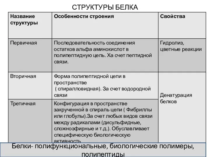 СТРУКТУРЫ БЕЛКА Белки- полифункциональные, биологические полимеры, полипептиды