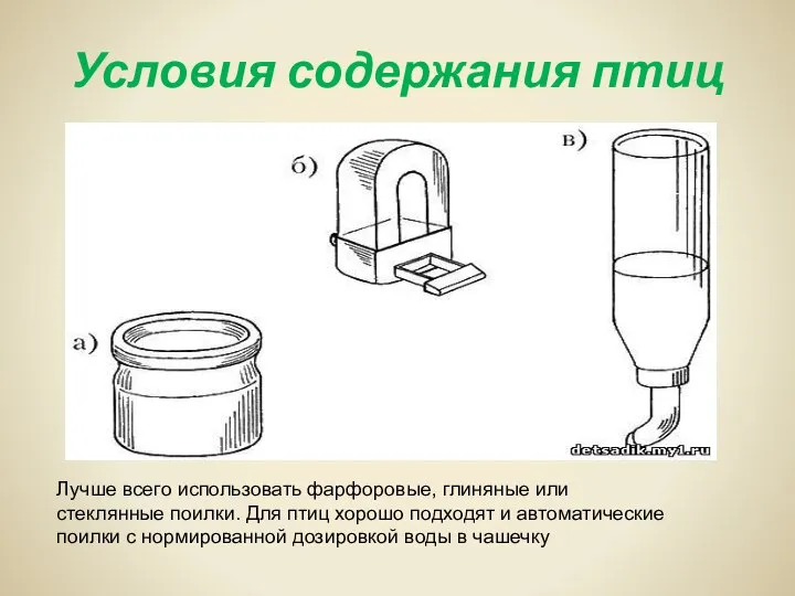 Условия содержания птиц Лучше всего использовать фарфоровые, глиняные или стеклянные поилки.