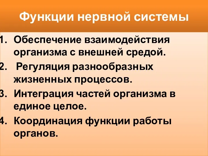 Функции нервной системы Обеспечение взаимодействия организма с внешней средой. Регуляция разнообразных