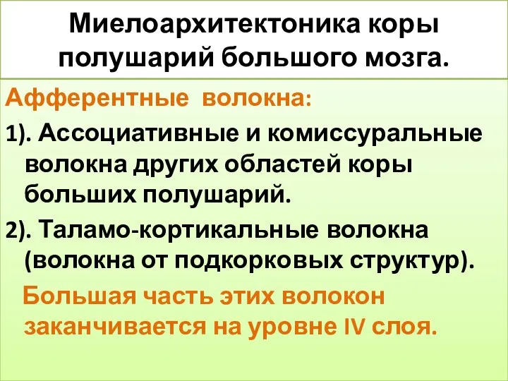 Миелоархитектоника коры полушарий большого мозга. Афферентные волокна: 1). Ассоциативные и комиссуральные