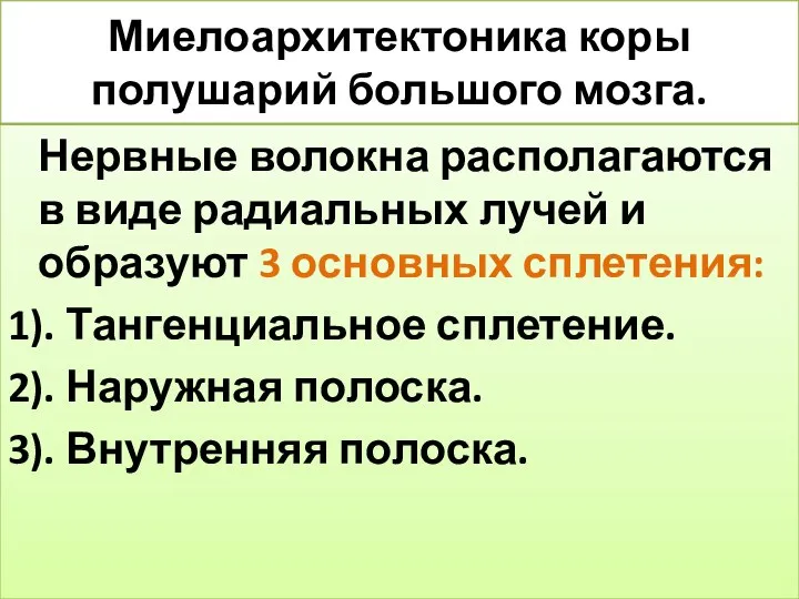 Миелоархитектоника коры полушарий большого мозга. Нервные волокна располагаются в виде радиальных