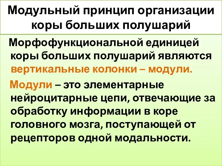 Модульный принцип организации коры больших полушарий Морфофункциональной единицей коры больших полушарий