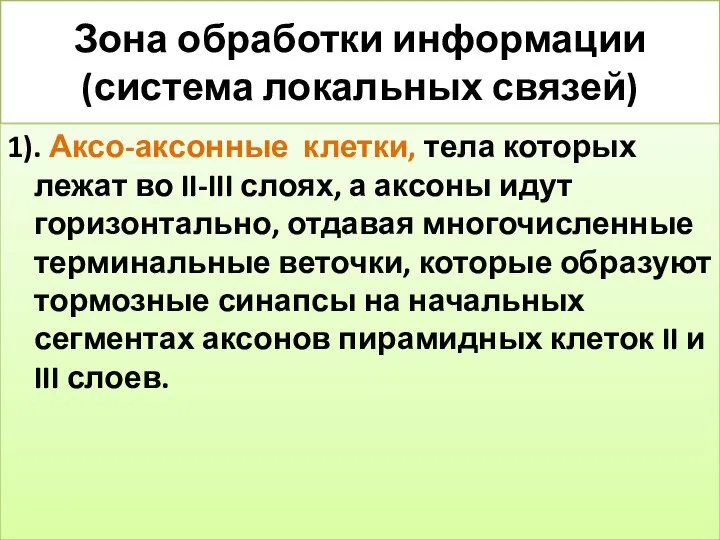 Зона обработки информации (система локальных связей) 1). Аксо-аксонные клетки, тела которых