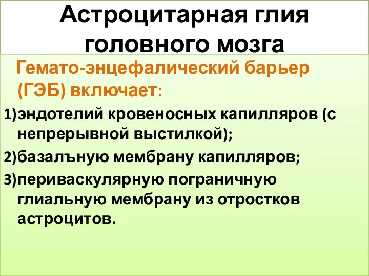 Астроцитарная глия головного мозга Гемато-энцефалический барьер (ГЭБ) включает: 1) эндотелий кровеносных