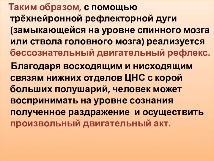 Таким образом, с помощью трёхнейронной рефлекторной дуги (замыкающейся на уровне спинного