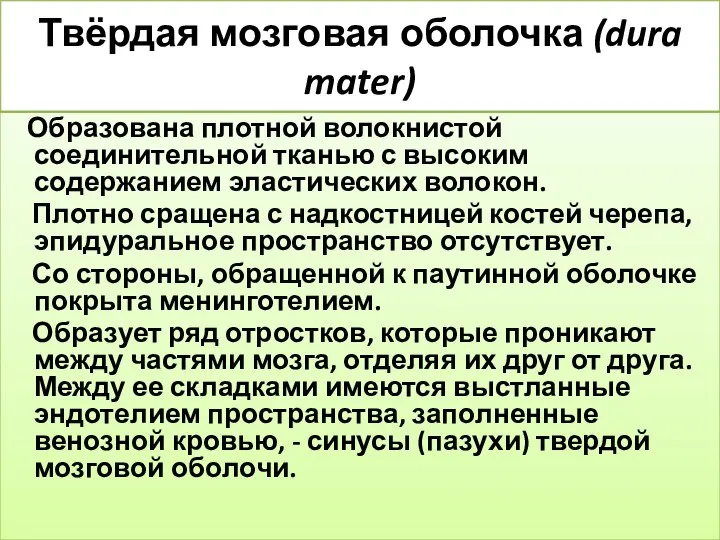 Твёрдая мозговая оболочка (dura mater) Образована плотной волокнистой соединительной тканью с