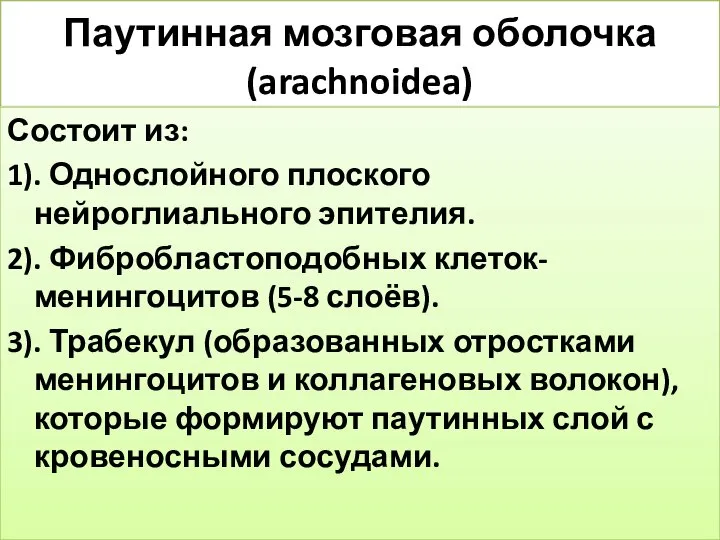 Паутинная мозговая оболочка (arachnoidea) Состоит из: 1). Однослойного плоского нейроглиального эпителия.