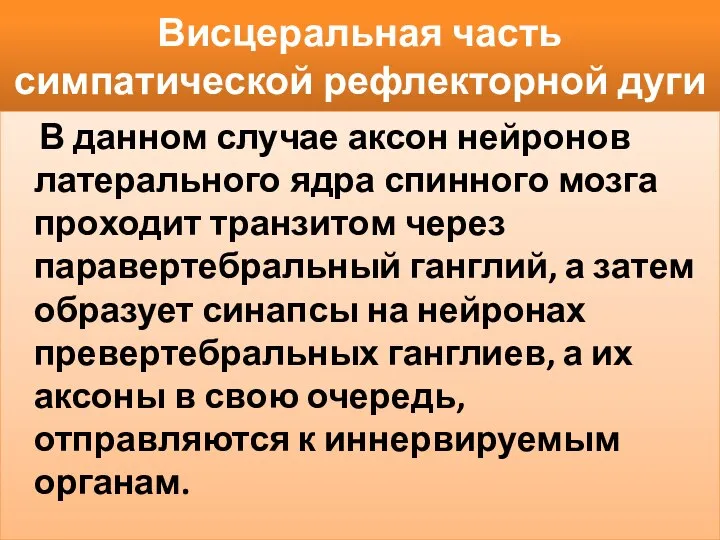 Висцеральная часть симпатической рефлекторной дуги В данном случае аксон нейронов латерального