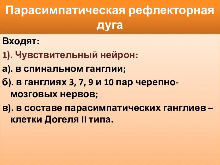 Парасимпатическая рефлекторная дуга Входят: 1). Чувствительный нейрон: а). в спинальном ганглии;