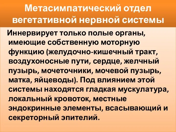 Метасимпатический отдел вегетативной нервной системы Иннервирует только полые органы, имеющие собственную