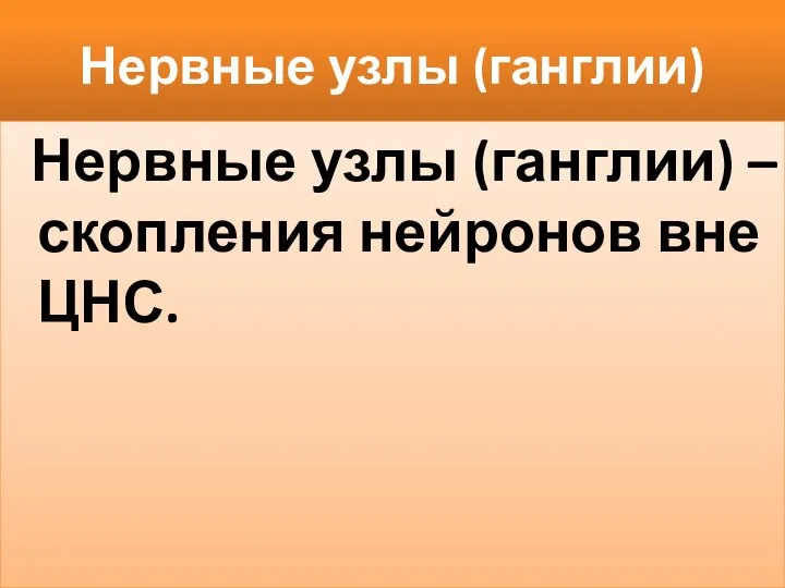 Нервные узлы (ганглии) Нервные узлы (ганглии) – скопления нейронов вне ЦНС.