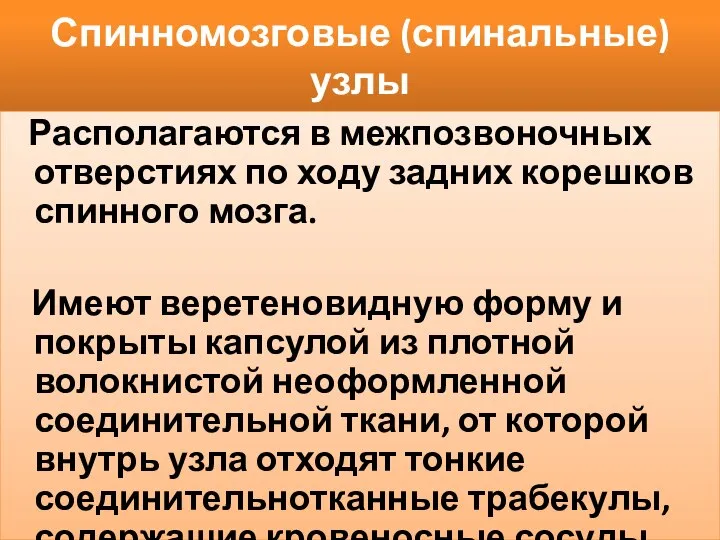 Спинномозговые (спинальные) узлы Располагаются в межпозвоночных отверстиях по ходу задних корешков