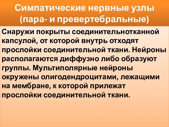 Симпатические нервные узлы (пара- и превертебральные) Снаружи покрыты соединительнотканной капсулой, от