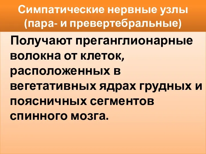 Симпатические нервные узлы (пара- и превертебральные) Получают преганглионарные волокна от клеток,