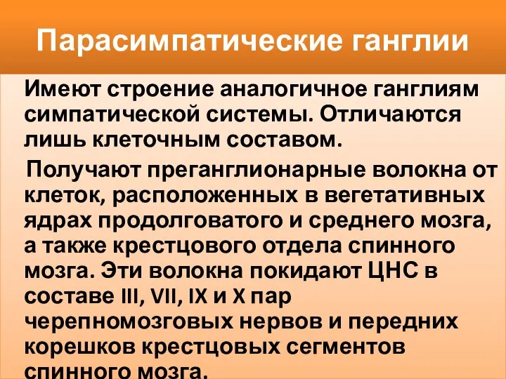 Парасимпатические ганглии Имеют строение аналогичное ганглиям симпатической системы. Отличаются лишь клеточным