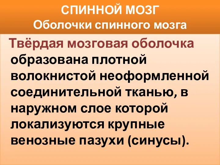 СПИННОЙ МОЗГ Оболочки спинного мозга Твёрдая мозговая оболочка образована плотной волокнистой