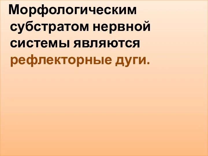 Морфологическим субстратом нервной системы являются рефлекторные дуги.