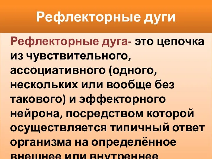 Рефлекторные дуги Рефлекторные дуга- это цепочка из чувствительного, ассоциативного (одного, нескольких