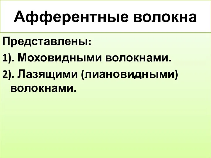 Афферентные волокна Представлены: 1). Моховидными волокнами. 2). Лазящими (лиановидными) волокнами.