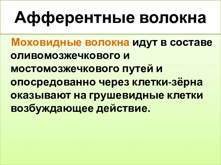 Афферентные волокна Моховидные волокна идут в составе оливомозжечкового и мостомозжечкового путей