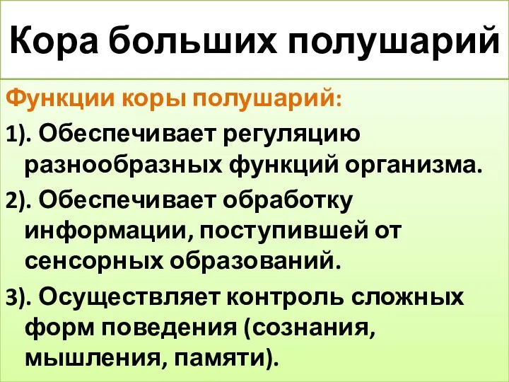 Кора больших полушарий Функции коры полушарий: 1). Обеспечивает регуляцию разнообразных функций