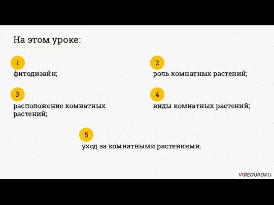 фитодизайн; 1 На этом уроке: роль комнатных растений; 2 расположение комнатных