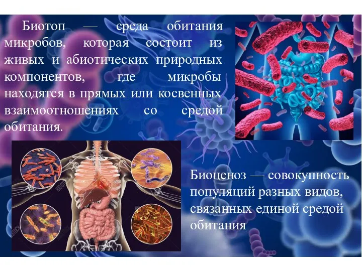 Биотоп — среда обитания микробов, которая состоит из живых и абиотических