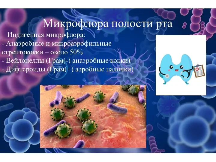 Микрофлора полости рта Индигенная микрофлора: - Анаэробные и микроаэрофильные стрептококки –