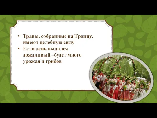 Травы, собранные на Троицу, имеют целебную силу Если день выдался дождливый –будет много урожая и грибов