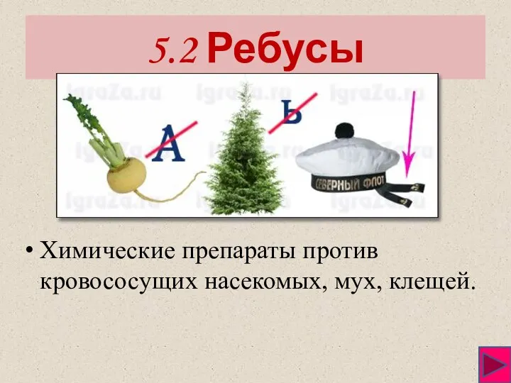 5.2 Ребусы Химические препараты против кровососущих насекомых, мух, клещей.