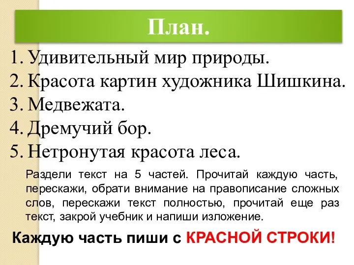 План. Удивительный мир природы. Красота картин художника Шишкина. Медвежата. Дремучий бор.