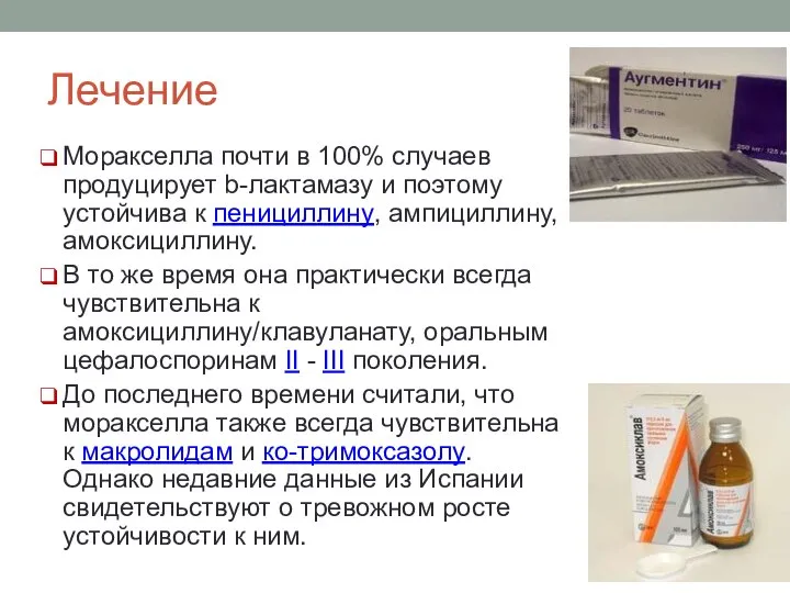 Лечение Моракселла почти в 100% случаев продуцирует b-лактамазу и поэтому устойчива