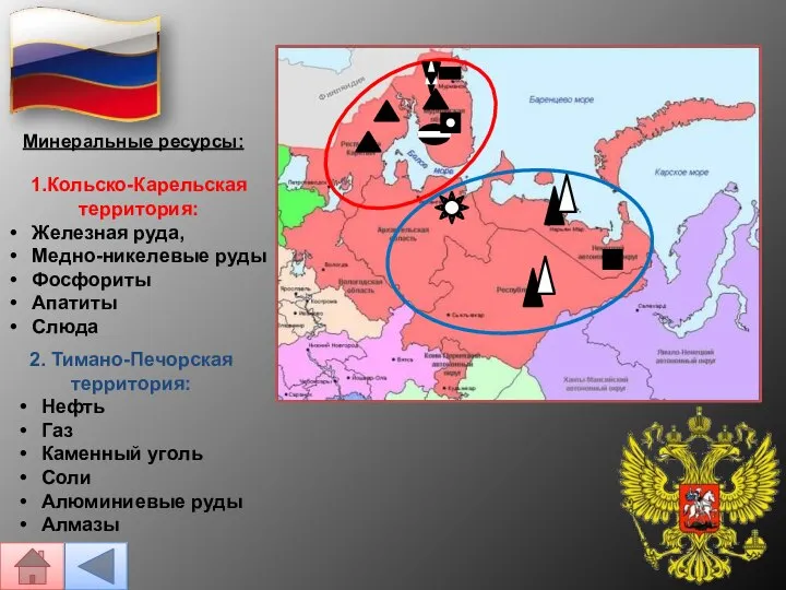 Минеральные ресурсы: 1.Кольско-Карельская территория: Железная руда, Медно-никелевые руды Фосфориты Апатиты Слюда