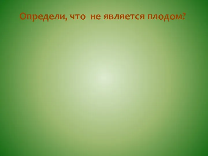 Определи, что не является плодом?