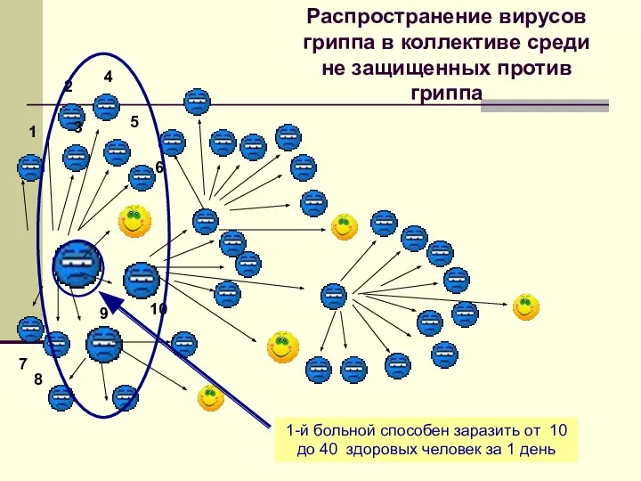 Распространение вирусов гриппа в коллективе среди не защищенных против гриппа 1-й