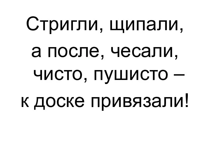 Стригли, щипали, а после, чесали, чисто, пушисто – к доске привязали!