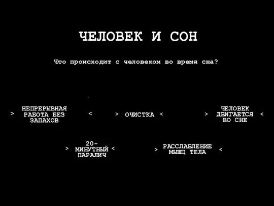 ЧЕЛОВЕК И СОН РАССЛАБЛЕНИЕМЫШЦ ТЕЛА НЕПРЕРЫВНАЯ РАБОТА БЕЗ ЗАПАХОВ 20- МИНУТНЫЙ