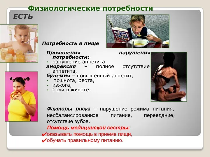 Потребность в пище Проявления нарушения потребности: нарушение аппетита анорексия – полное