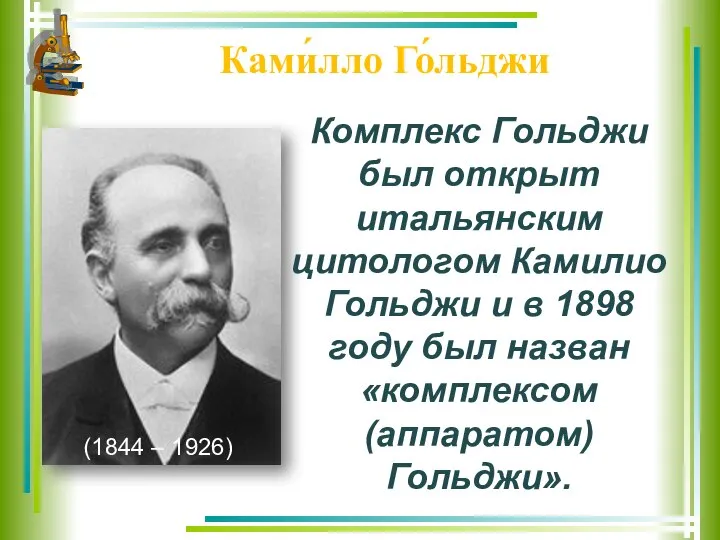 Ками́лло Го́льджи Комплекс Гольджи был открыт итальянским цитологом Камилио Гольджи и