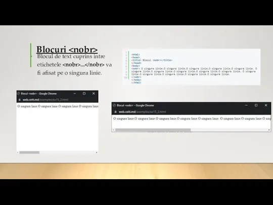 Blocuri Blocul de text cuprins intre etichetele ... va fi afisat pe o singura linie.
