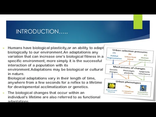 INTRODUCTION….. Humans have biological plasticity,or an ability to adapt biologically to