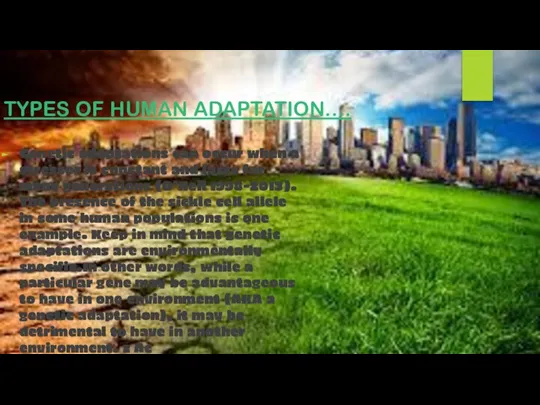 TYPES OF HUMAN ADAPTATION…. Genetic adaptations can occur when a stressor