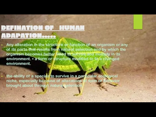 DEFINATION OF HUMAN ADAPATION….. Any alteration in the structure or function