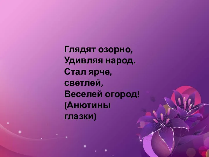 Глядят озорно, Удивляя народ. Стал ярче, светлей, Веселей огород! (Анютины глазки)