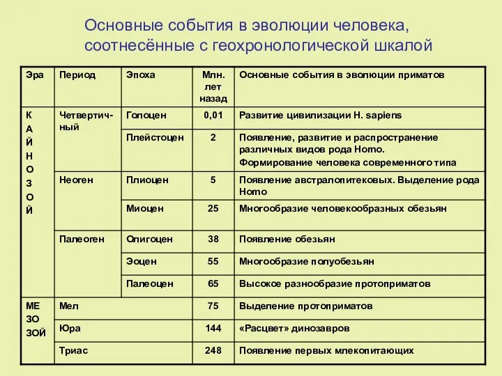 Основные события в эволюции человека, соотнесённые с геохронологической шкалой