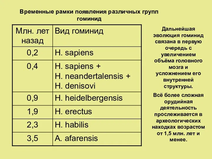 Дальнейшая эволюция гоминид связана в первую очередь с увеличением объёма головного