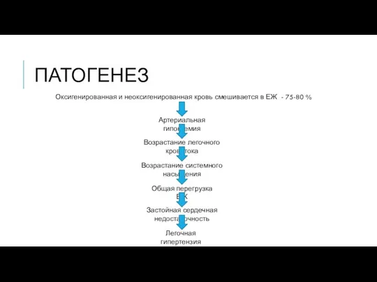ПАТОГЕНЕЗ Оксигенированная и неоксигенированная кровь смешивается в ЕЖ - 75-80 %