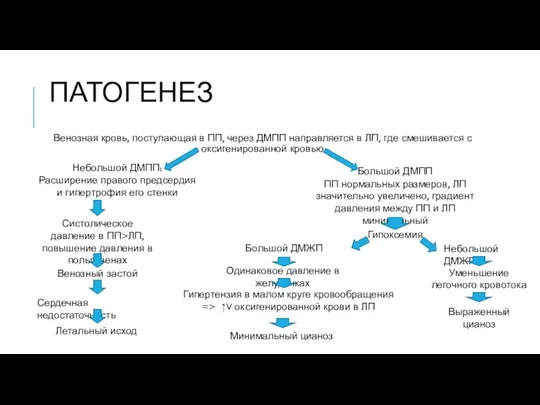ПАТОГЕНЕЗ Венозная кровь, поступающая в ПП, через ДМПП направляется в ЛП,