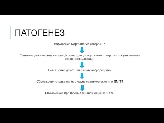 ПАТОГЕНЕЗ Нарушение морфологии створок ТК Трикуспидальная регургитация/стеноз трикуспидального отверстия => увеличение